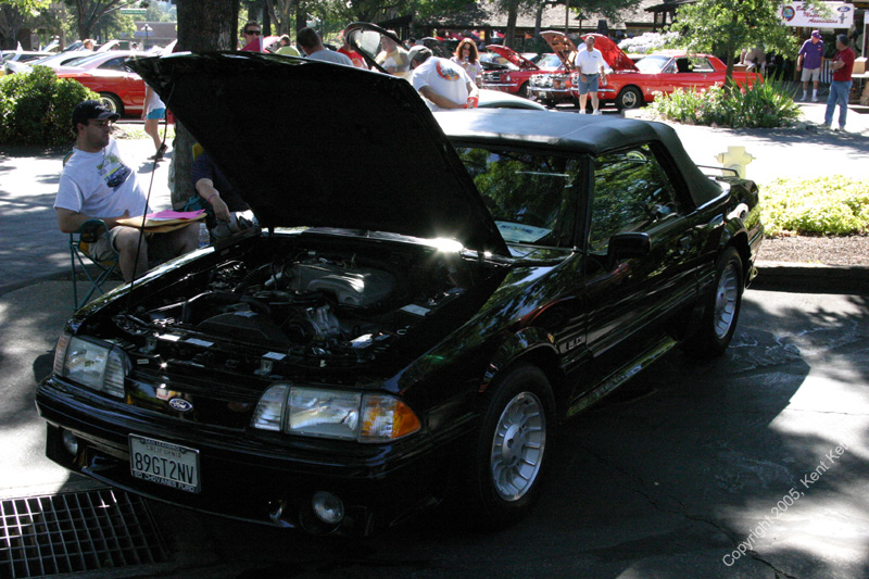 2005_Ponies&Snakes-042