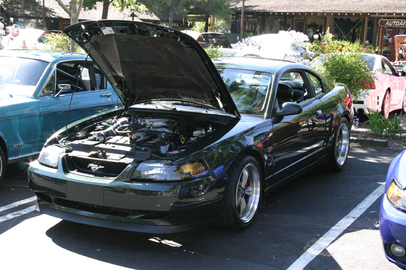 2005_Ponies&Snakes-045