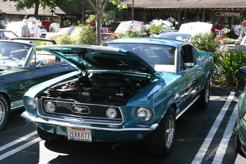 2005_Ponies&Snakes-046