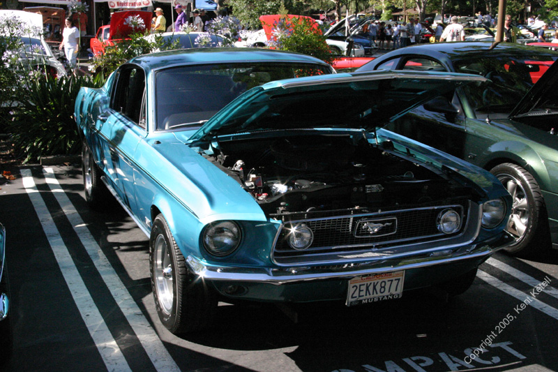 2005_Ponies&Snakes-047
