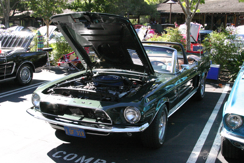2005_Ponies&Snakes-048
