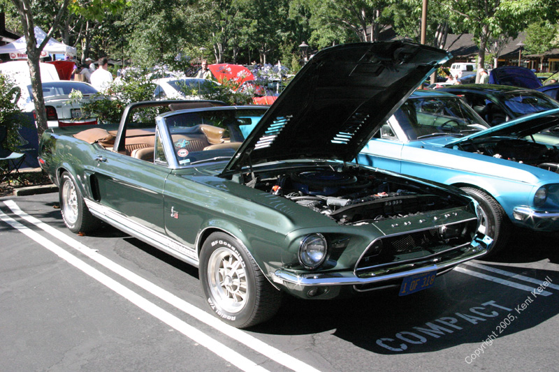 2005_Ponies&Snakes-049