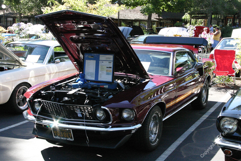 2005_Ponies&Snakes-051