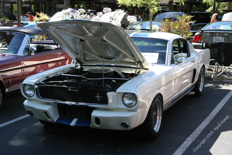 2005_Ponies&Snakes-053