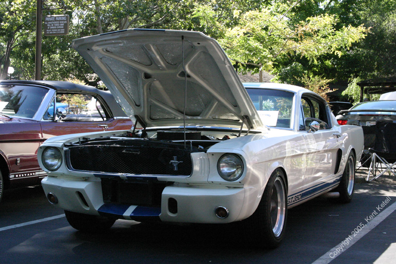 2005_Ponies&Snakes-054