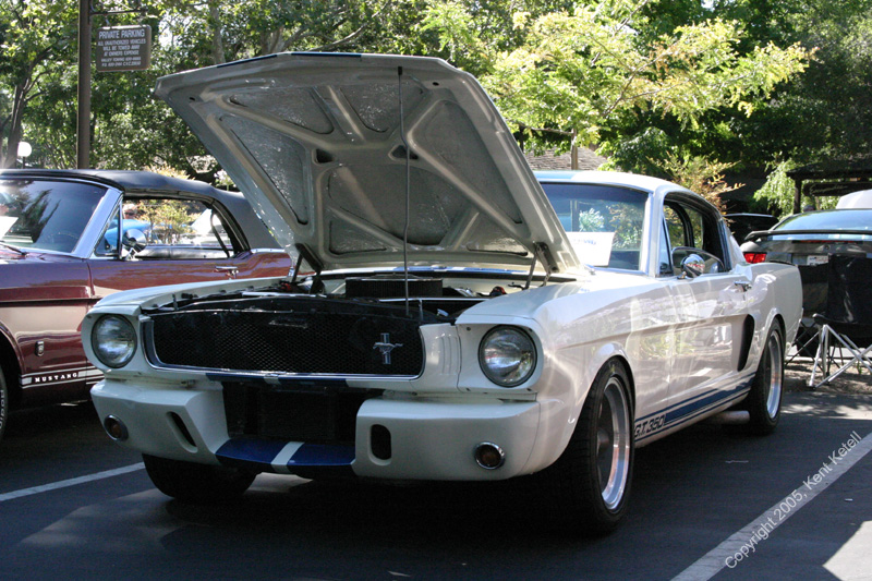 2005_Ponies&Snakes-055