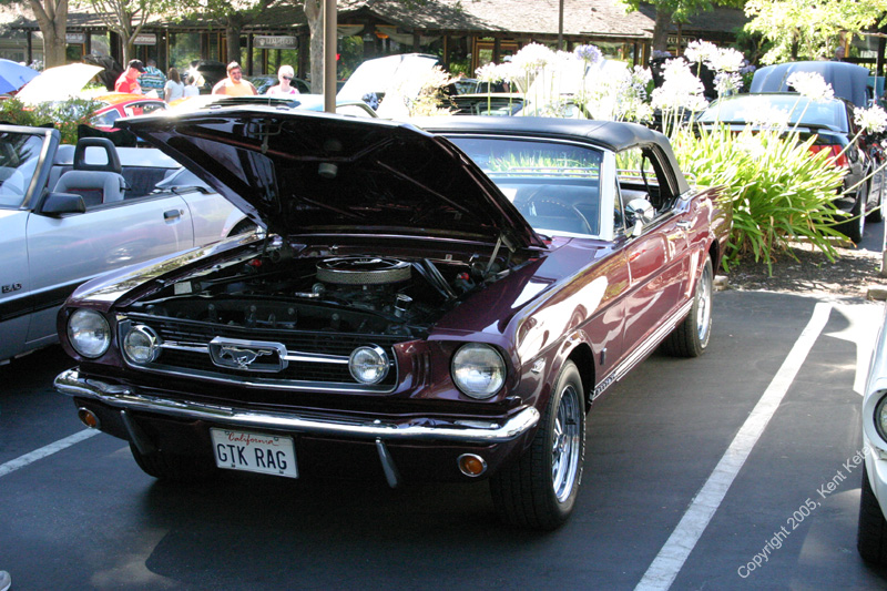 2005_Ponies&Snakes-056