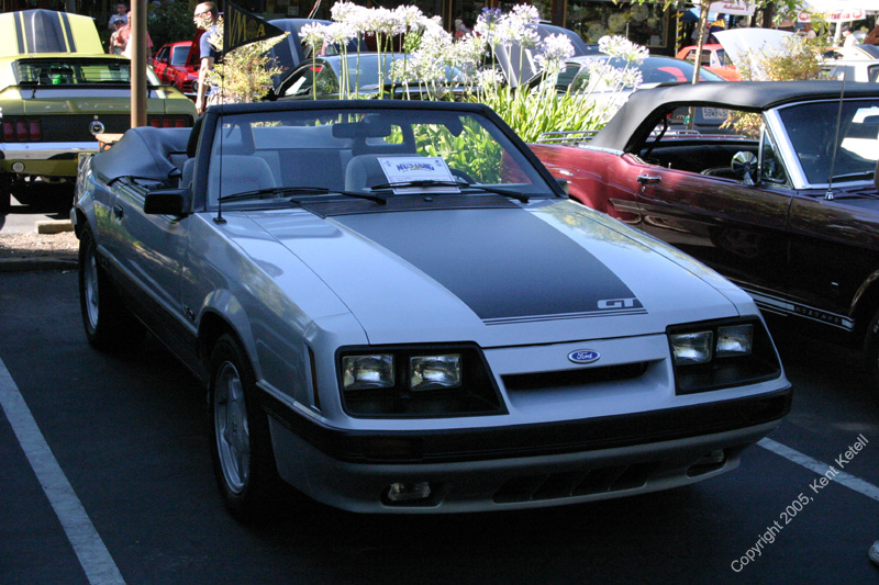 2005_Ponies&Snakes-058