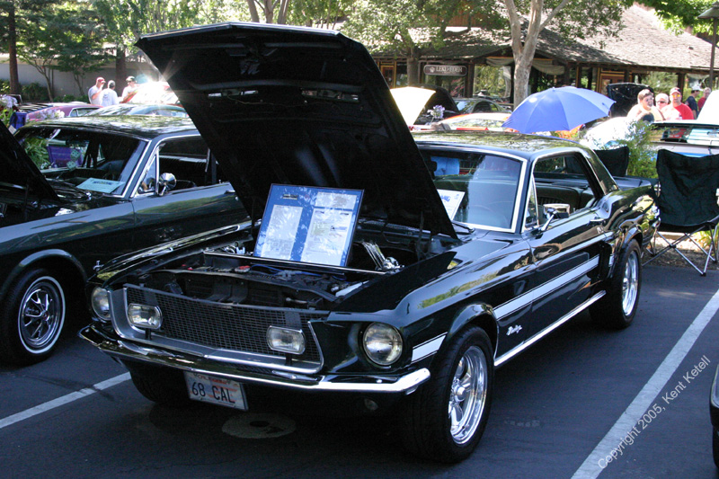 2005_Ponies&Snakes-059