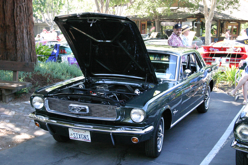 2005_Ponies&Snakes-060