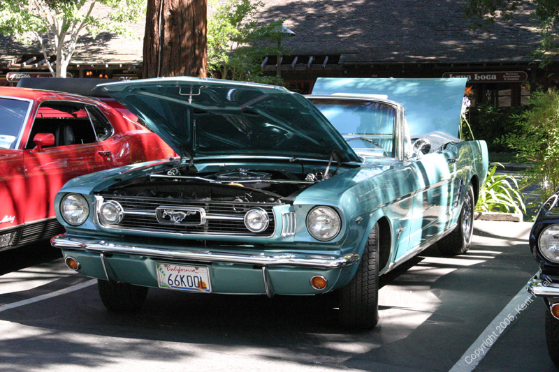 2005_Ponies&Snakes-067