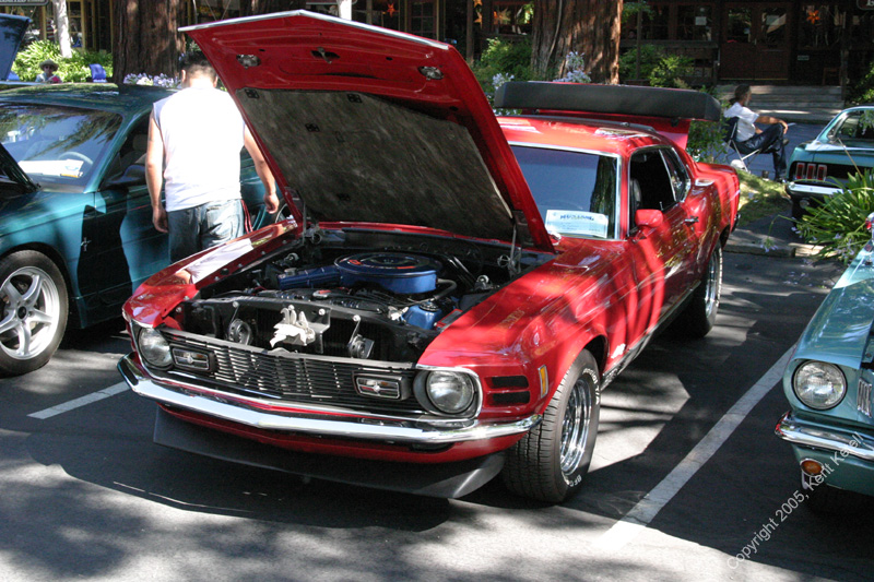 2005_Ponies&Snakes-069