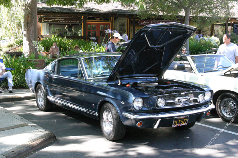 2005_Ponies&Snakes-070