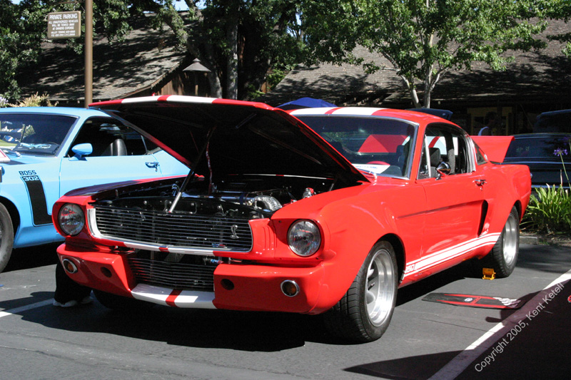 2005_Ponies&Snakes-075