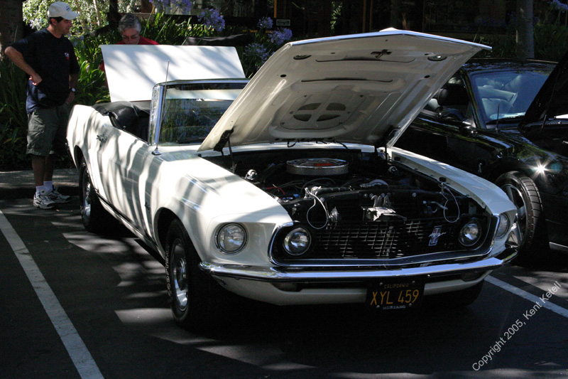 2005_Ponies&Snakes-076