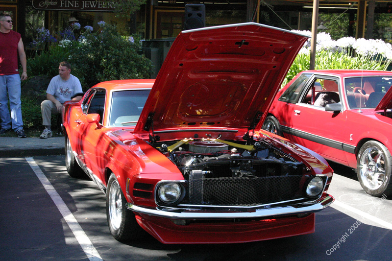 2005_Ponies&Snakes-082