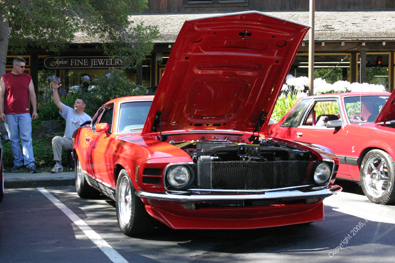 2005_Ponies&Snakes-083