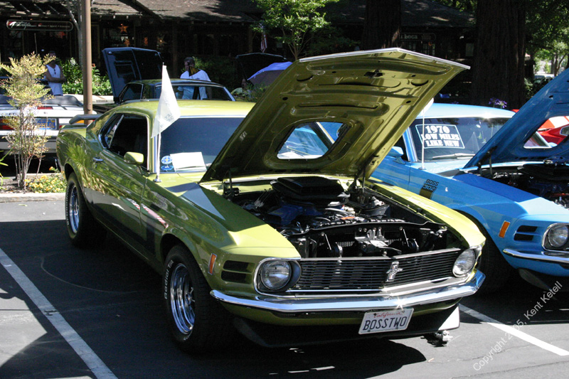 2005_Ponies&Snakes-084