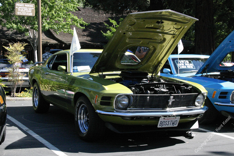 2005_Ponies&Snakes-085