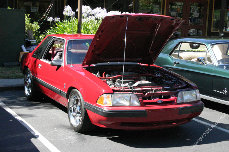 2005_Ponies&Snakes-087