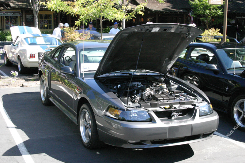 2005_Ponies&Snakes-088