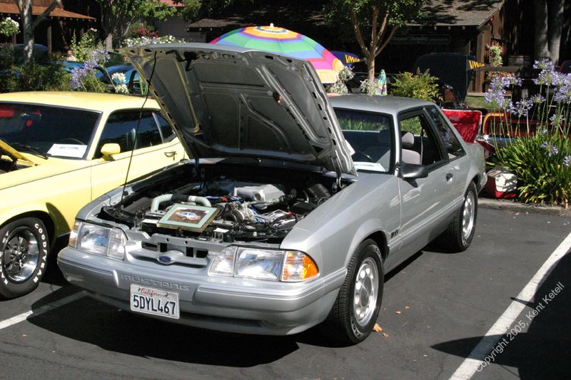 2005_Ponies&Snakes-089