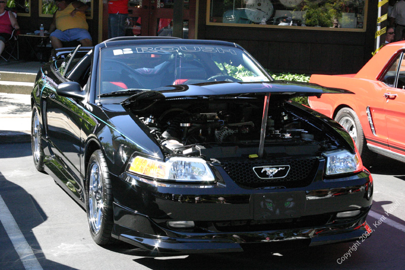 2005_Ponies&Snakes-091