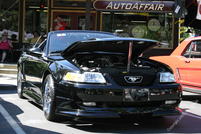 2005_Ponies&Snakes-092
