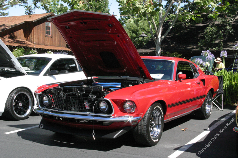2005_Ponies&Snakes-095