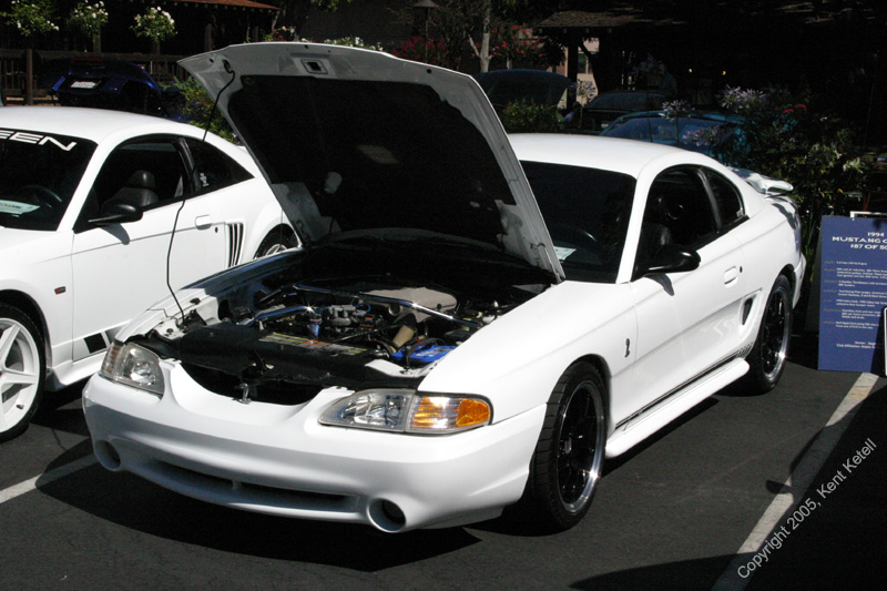 2005_Ponies&Snakes-096