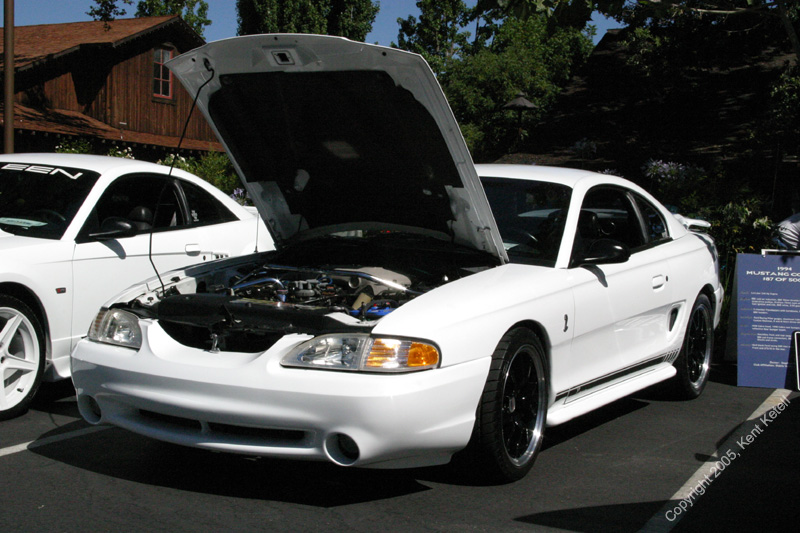 2005_Ponies&Snakes-097