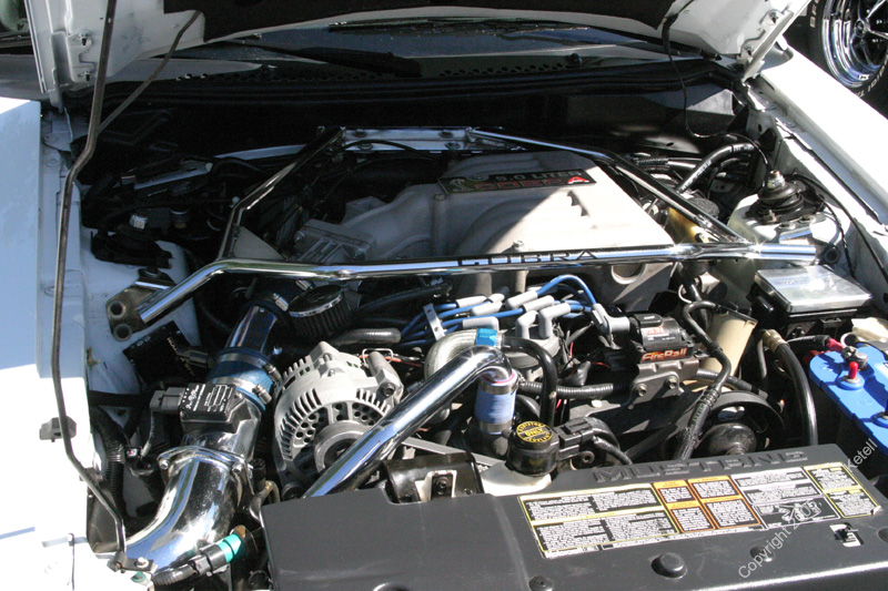2005_Ponies&Snakes-098