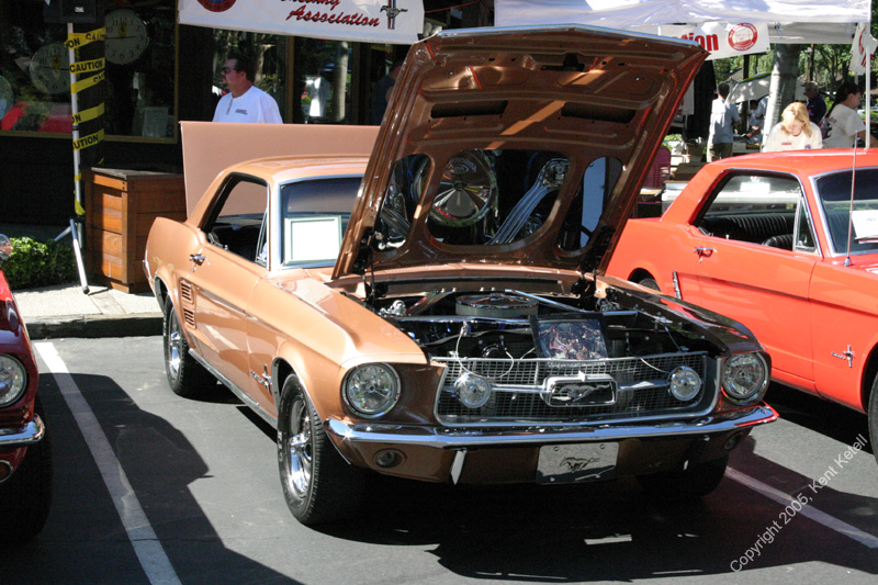 2005_Ponies&Snakes-099