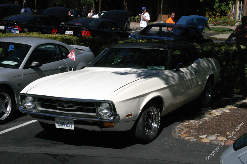 2005_Ponies&Snakes-110