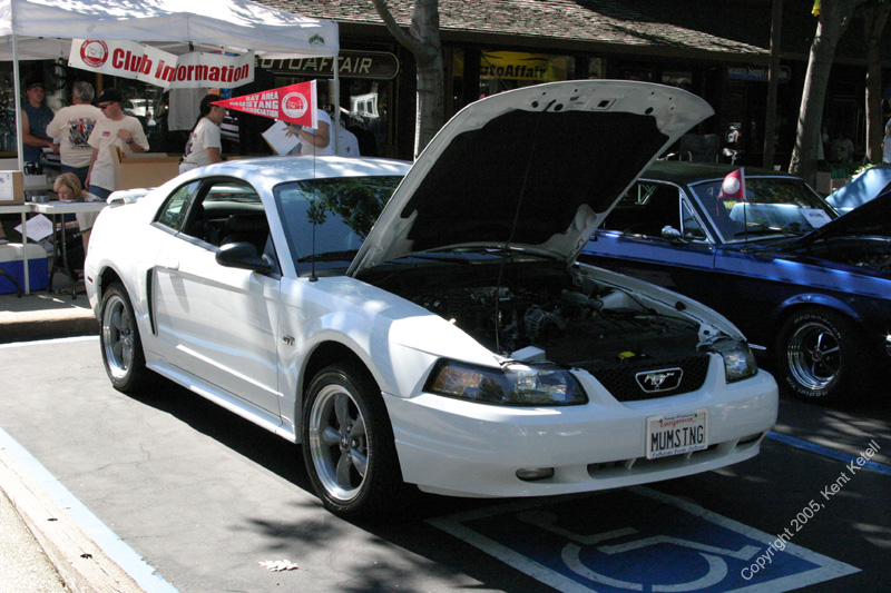 2005_Ponies&Snakes-111