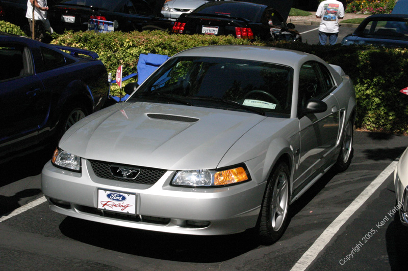 2005_Ponies&Snakes-114