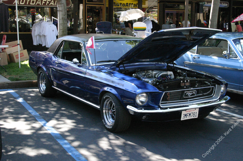 2005_Ponies&Snakes-115