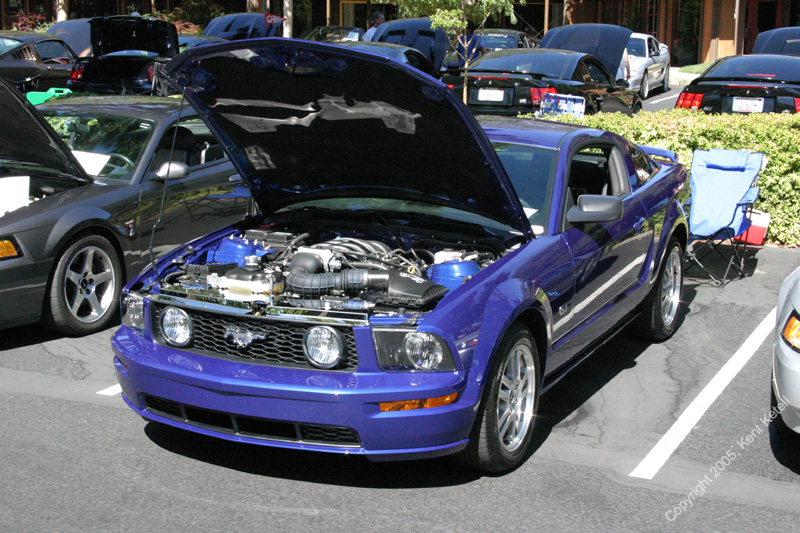 2005_Ponies&Snakes-117