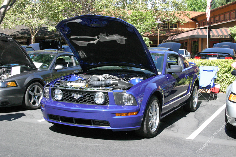 2005_Ponies&Snakes-118