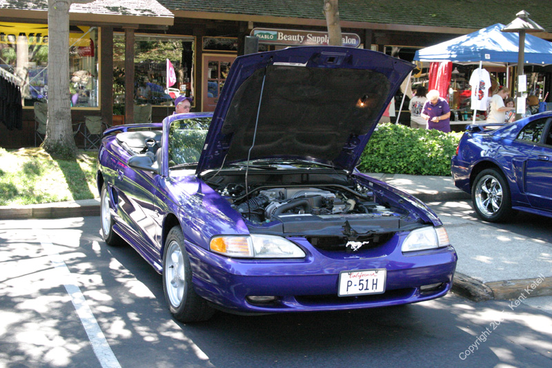2005_Ponies&Snakes-127