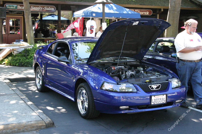 2005_Ponies&Snakes-128