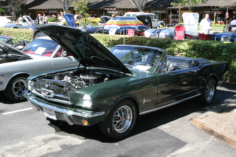2005_Ponies&Snakes-133