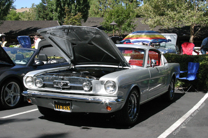 2005_Ponies&Snakes-136