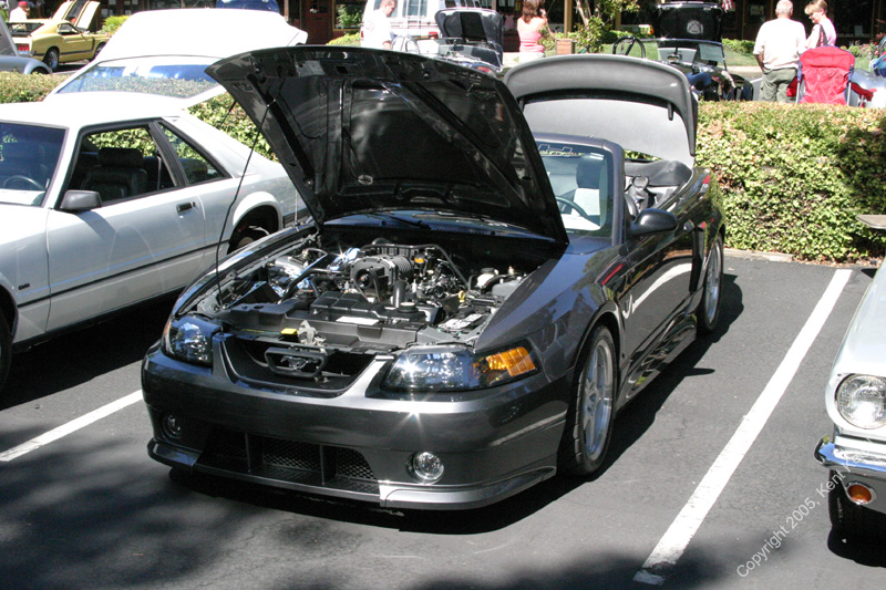 2005_Ponies&Snakes-137
