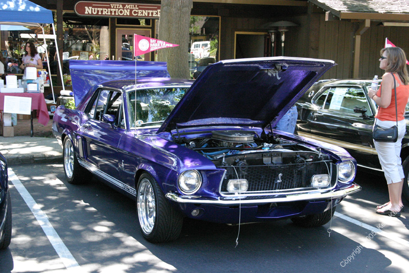 2005_Ponies&Snakes-138