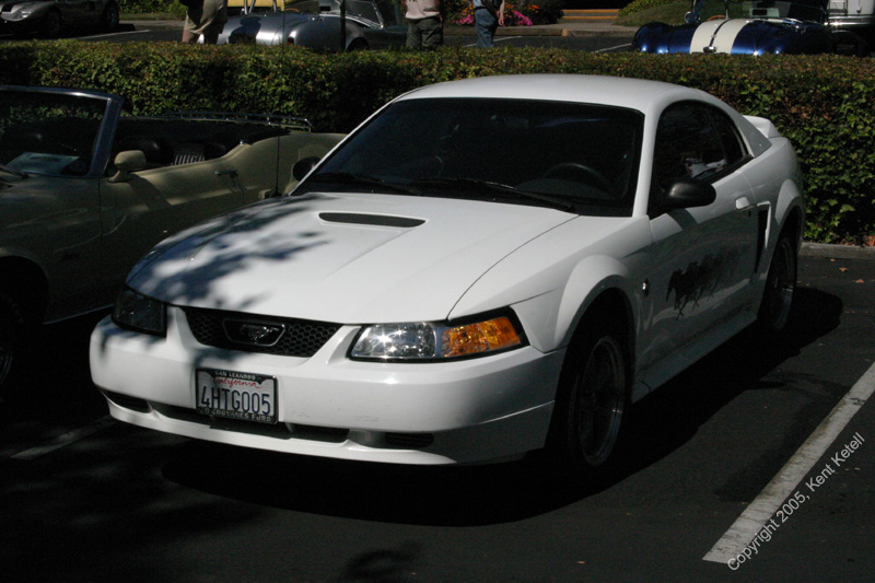 2005_Ponies&Snakes-144