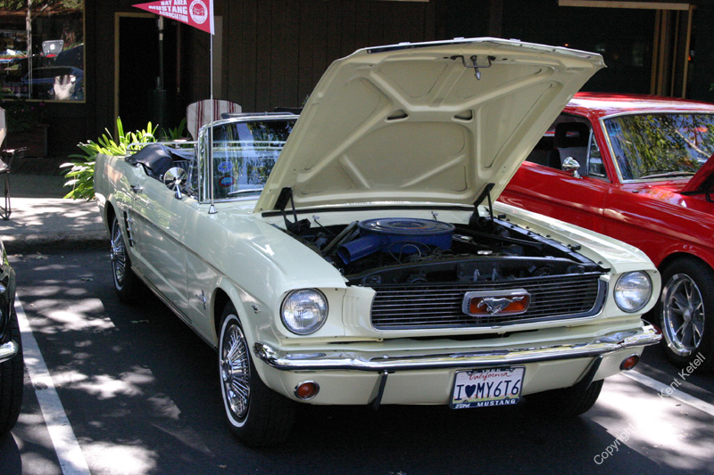 2005_Ponies&Snakes-145