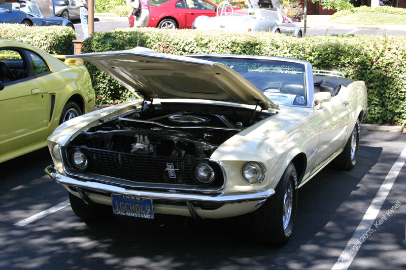 2005_Ponies&Snakes-146