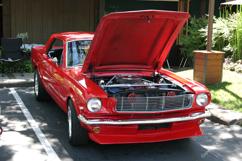 2005_Ponies&Snakes-148