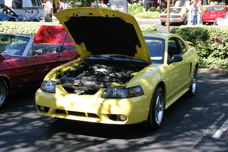 2005_Ponies&Snakes-150
